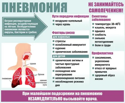 Презентация на тему: \"Исследование мокроты. Строение органов дыхания. 1.  верхние дыхательные пути (полость носа, носоглотка, ротоглотка, гортань);  2. нижние дыхательные пути.\". Скачать бесплатно и без регистрации.