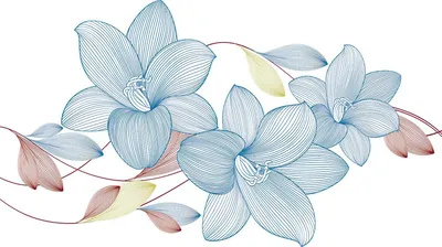рисованные цветы PNG , цветы, нарисованный от руки, рисовать кистью PNG  картинки и пнг рисунок для бесплатной загрузки