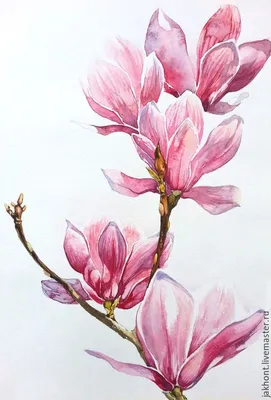 цветы Рисованные цветы Растительный декор весна PNG , декоративный, Рисованные  цветы, Цветочный узор PNG картинки и пнг рисунок для бесплатной загрузки