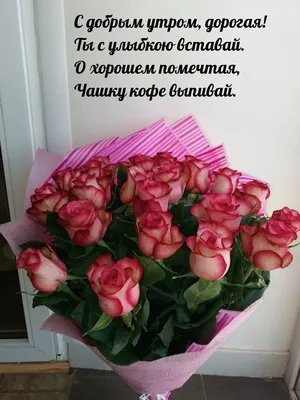 Доброе Утро любимым! 🌹 | Красивые розы, Праздничные открытки, Доброе утро