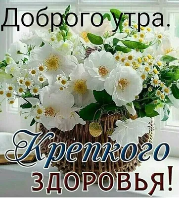 Картинки \"Доброе утро!\" для женщин (254 шт.)