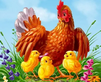 Курица с цыплятами рисунок - 31 фото