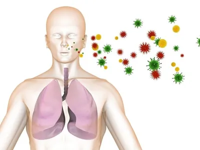 Туберкулез и рак легких, как отличить туберкулез от рака лешкого |  Patient-mt.ru