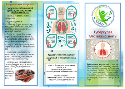 Как распознать у себя туберкулёз и отличить его от ОРВИ, рассказали медики  | Pchela.news - Новости в Челябинске