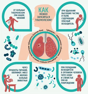 Туберкулез – заразная болезнь,... - Avangard Hospital Osh | Facebook