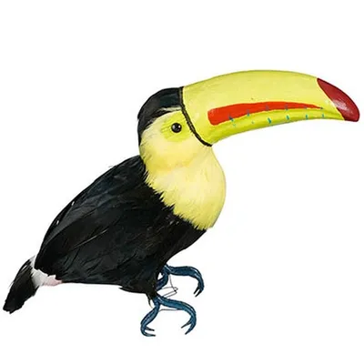 Tukan, Ramphastos Toco, Im Volksmund Bekannt Als Tucanuçu, Tucanaçu,  Tucan-grande Und Tucan-boi, Ist Eine Tukanart Und Der Größte Vertreter Der  Familie Ramphastidae. Lizenzfreie Fotos, Bilder und Stock Fotografie. Image  169996129.