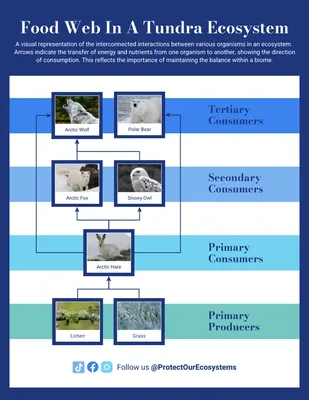 Herbivore Diversity Helps Maintain Arctic Tundra Diversity - Eos