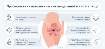 👌 Влагалищные выделения – нормальное явление, которое присутствует у  каждой взрослой здоровой женщины. 👉 Выделения увлажняют слизистую… |  Instagram