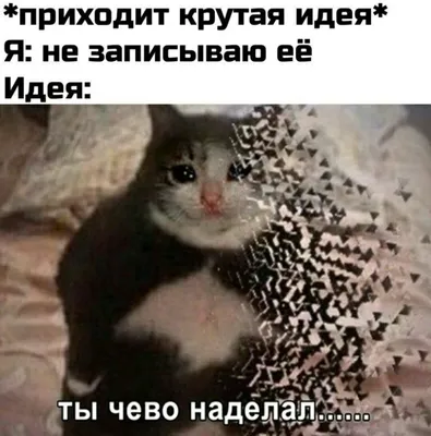 Открытка \"Лучший мой подарочек - это ты!, РАО 175