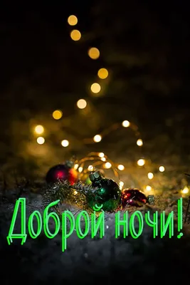 тыныч тен #тыныч | TikTok