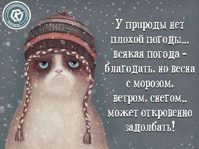 У природы нет плохой погоды.. | Привет, декабрь, Погода, Открытки