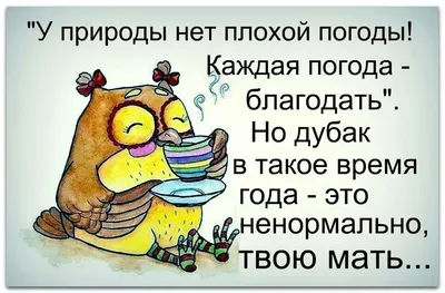 У природы нет плохой погоды\"