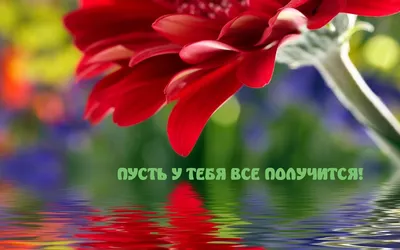 У тебя все получится! - 9 Февраля 2022 - Сайт МБОУ СОШ №43 г.Хабаровск