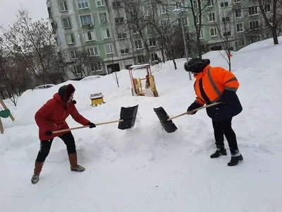 Уборка и вывоз снега в СПб и ЛО - цена за м2 на чистку снега