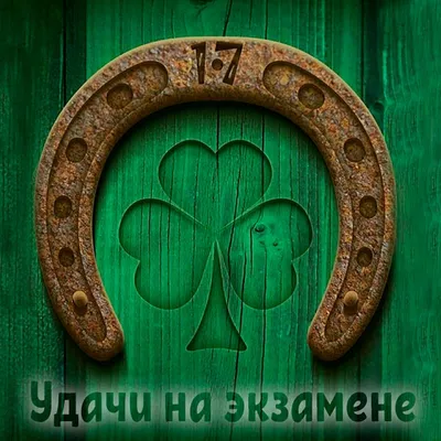 SAY YES - Желаем удачи!👍🏻 А вы что подумали?😅 «to break a leg», означает  вовсе не «сломать ногу», а «ни пуха, ни пера». Существует еще масса  вариантов пожелать удачи на экзамене😉: Good