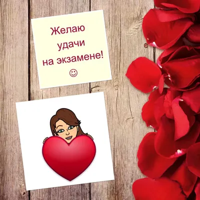 желаюудачи #наэкзаменах #экзамены #открыткикаждыйдень | TikTok