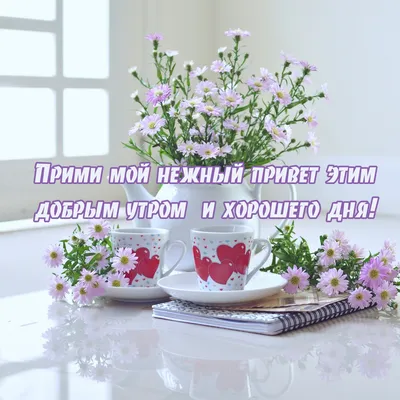 С добрым утром!🌞💐Самого хорошего дня и отличного настроения!🥰#сдобр... |  TikTok