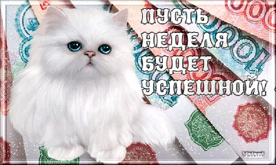 Удачной трудовой недели! | Birthday, Mittens, Birthday cake