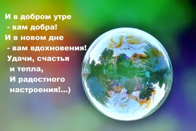 Kristina on X: \"@DilyaMirsaidova Доброе утро, Дилечка! Легкого  понедельника, удачной недели! https://t.co/6JeZu05YeW\" / X