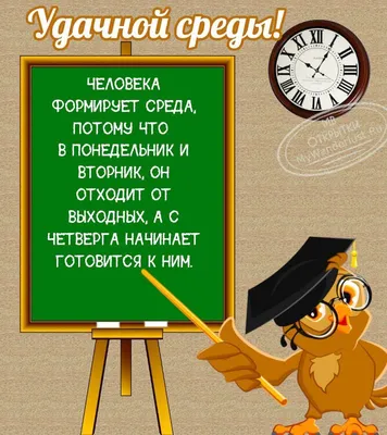 Доброе утро! Удачной Среды! в 2023 г | Милые открытки, Доброе утро, Открытки