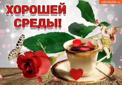 СРЕДА! 💗 ДОБРОЕ УТРО! 🌸🦋💜💐🌞🌿💜🦋🌸 УДАЧНОГО ДНЯ! | Доброе утро,  Праздник, Стихи о дружбе