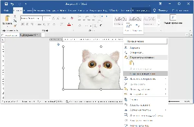 Удаление фона на изображениях при помощи Microsoft Word