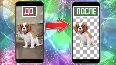 Как УДАЛИТЬ ФОН на Фото или Картинке на Телефоне? - YouTube