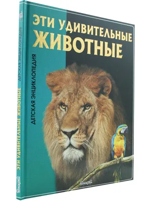 Энциклопедия АСТ Лучшие книги о животных Удивительные звери купить по цене  483 ₽ в интернет-магазине Детский мир