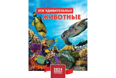 Зенит» — фаворит в гонке за золото РПЛ, но у «Краснодара» удивительные  шансы прервать