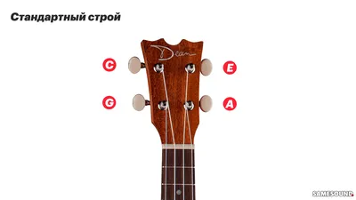 Знакомство с укулеле | «Yamaha.zp.ua»