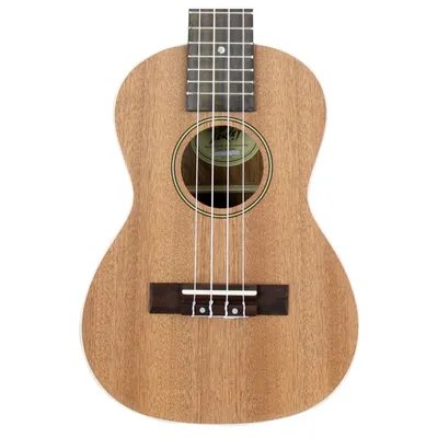 Купить FENDER UKULELE RINCON V2 OVANGKOL NAT WB укулеле по цене 39 000 руб.  на официальном сайте представителя Fender в Москве и России