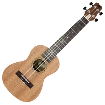 Укулеле PeaVey Student Ukulele – купить в рассрочку без переплат, с  гарантией и доставкой по Казахстану | Первый музыкальный - интернет магазин