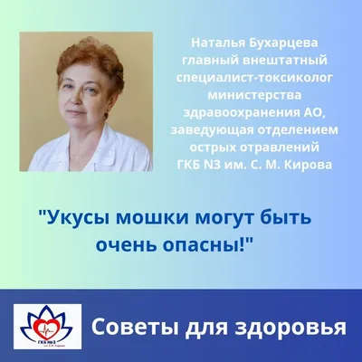 Калининградцы жалуются, что от укусов мошек у них опухают ноги - Новости  Калининграда