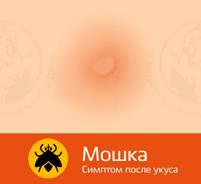 Бальзам Спасатель детский - «действительно, спасатель! помогает при укусах,  ссадинах, ожогах. фото в процессе применения...» | отзывы