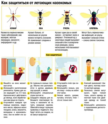 Как различить укусы насекомых, чем они опасны, как оказать помощь?