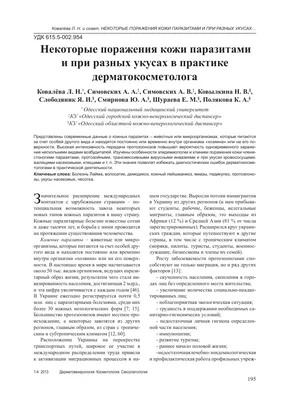 Что делать при укусе насекомых и опасны ли укусы? | Альфа Клиник