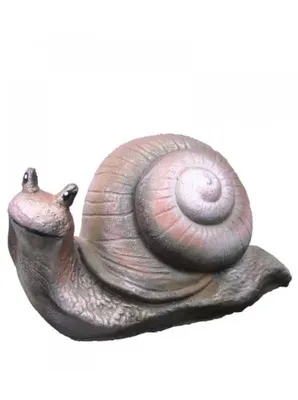 Snails. Улитка. PNG. в 2023 г | Улитка