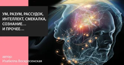 УМ, РАЗУМ, РАССУДОК, ИНТЕЛЛЕКТ, СМЕКАЛКА, СОЗНАНИЕ… И ПРОЧЕЕ… — Основы  Деятельного Образования