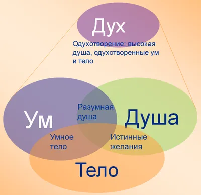 Миру международный сознание и ум человеческого мозга Иллюстрация вектора -  иллюстрации насчитывающей сообщение, икона: 203137756