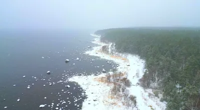 Антистресс: самые умиротворяющие цвета в интерьере - Страсти