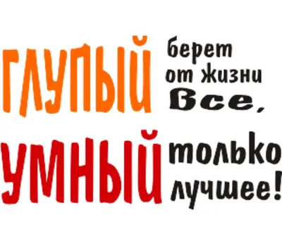 Умные полимеры: Применение, меняющее жизнь : Хашим, Салах С., Мохамед,  Далал А., Шакир, Рагхед С.: Amazon.it: Libri