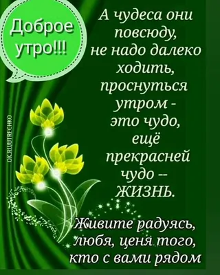 НЛП. Искусство быть богатым. Как управлять энергией денег. Романы (Надежда  Владиславова) - купить книгу с доставкой в интернет-магазине «Читай-город».  ISBN: 978-5-17-146850-7