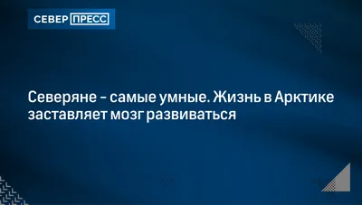 Умные гаджеты от RENPHO, разделившие мою жизнь на «до» и «после»