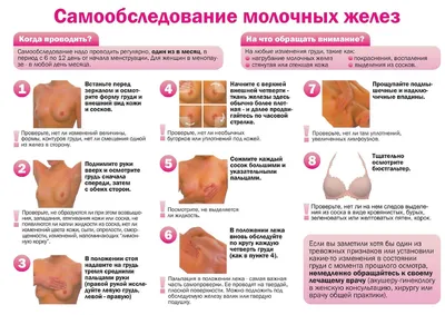 КИСТЫ МОЛОЧНОЙ ЖЕЛЕЗЫ | MED Expert