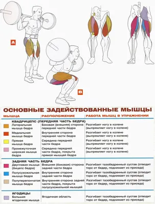 Как накачать попу и ноги дома - упражнения, фото - Здоровый образ жизни и  здоровье | Сегодня