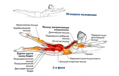 10 упражнений для безупречной осанки / AdMe