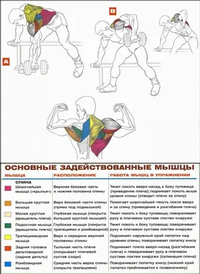 Гимнастика для шеи при остеохондрозе: комплекс упражнений