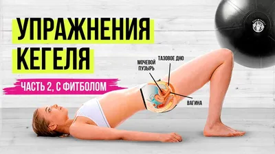 Тренажер кегеля для тазового дна интимных мышц и ягодиц FEELFIT 36235294  купить за 1 574 ₽ в интернет-магазине Wildberries