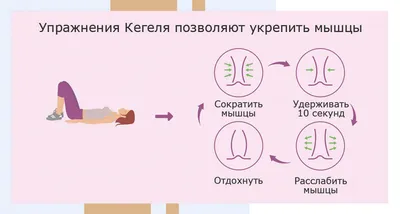 Поддержание мышщ тазового дна в тонусе для женского здоровья. | Доктор Мама  | Дзен