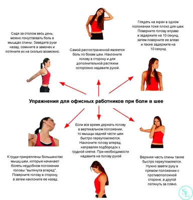 Гимнастика при шейном хондрозе | Гимнастика, Упражнения для шеи, Упражнения